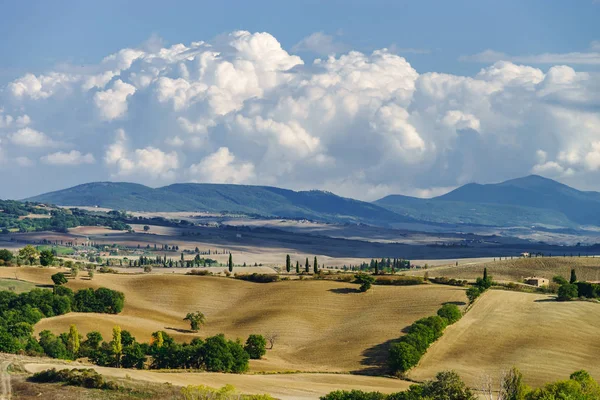 Herfst Italië Gele Geploegd Heuvels Van Toscane Met Interessante Schaduwen — Stockfoto