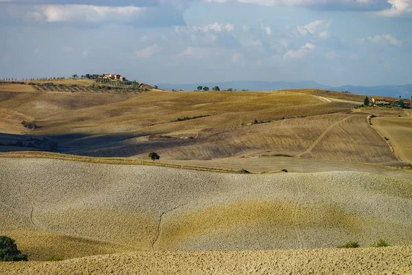 Outono Itália Colinas Aradas Amarelas Toscana Com Sombras Linhas Interessantes — Fotografia de Stock