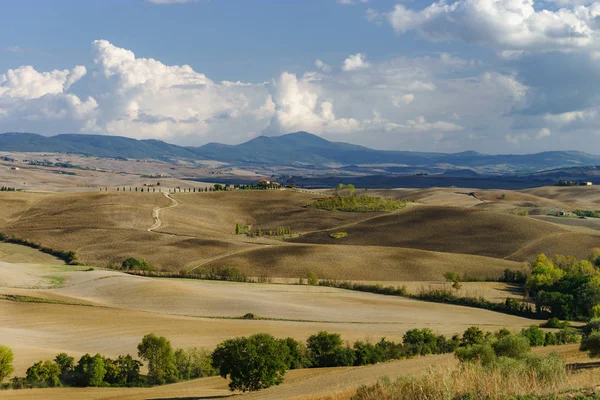 Autunno Italia Colline Gialle Arate Della Toscana Con Interessanti Ombre — Foto Stock