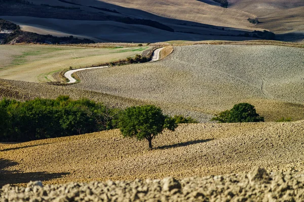 秋天在意大利 托斯卡纳的黄色翻耕丘陵 有有趣的阴影和线条 农业概念景观 — 图库照片