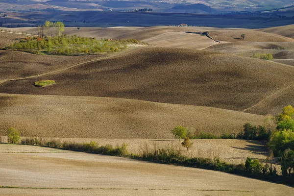 Outono Itália Colinas Aradas Amarelas Toscana Com Sombras Linhas Interessantes — Fotografia de Stock