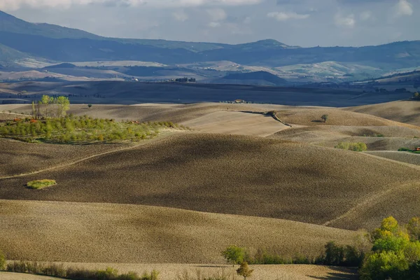 Otoño Italia Colinas Amarillas Aradas Toscana Con Interesantes Sombras Líneas —  Fotos de Stock