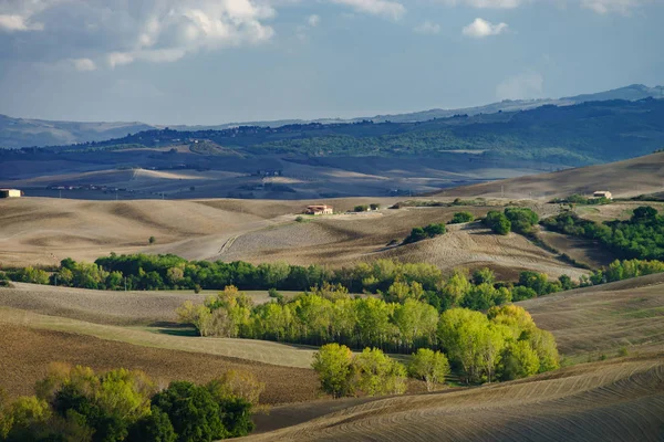 Otoño Italia Colinas Amarillas Aradas Toscana Con Interesantes Sombras Líneas —  Fotos de Stock