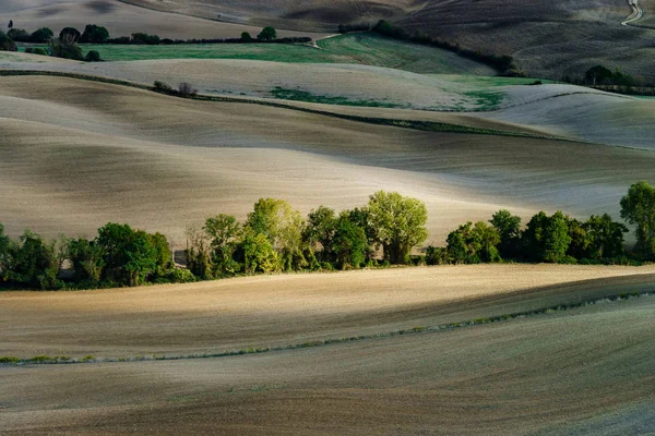 Outono Itália Colinas Aradas Amarelas Toscana Com Sombras Linhas Interessantes — Fotografia de Stock