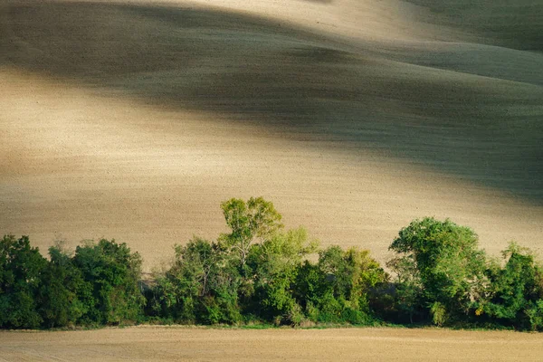 Absztrakt Kilátás Sárga Barna Hegyek Tuscane Őszi Olaszország — Stock Fotó