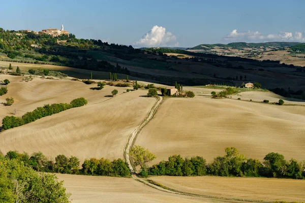 Herfst Italië Gele Geploegd Heuvels Van Toscane Met Interessante Schaduwen — Stockfoto