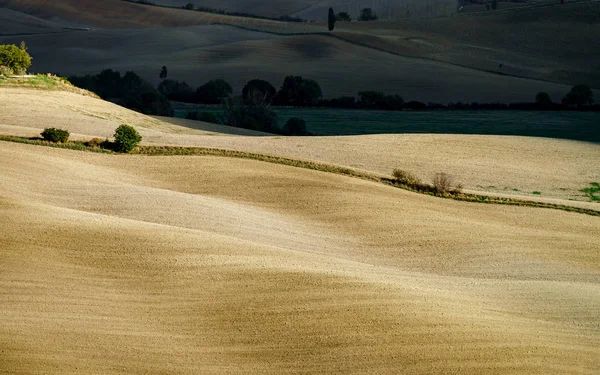 Abstraktní Pohled Žlutých Hnědých Kopců Tuscane Podzim Itálie — Stock fotografie