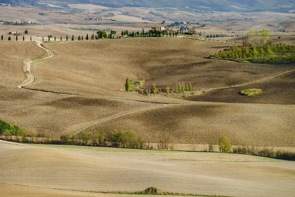 Outono Itália Colinas Aradas Amarelas Toscana Com Sombras Linhas Interessantes — Fotografia de Stock
