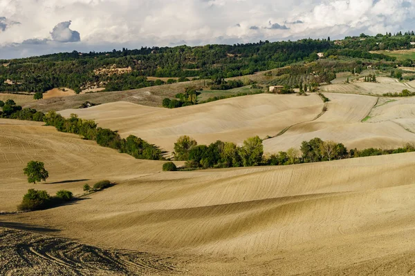 Herfst Italië Gele Geploegd Heuvels Van Toscane Met Interessante Schaduwen — Stockfoto