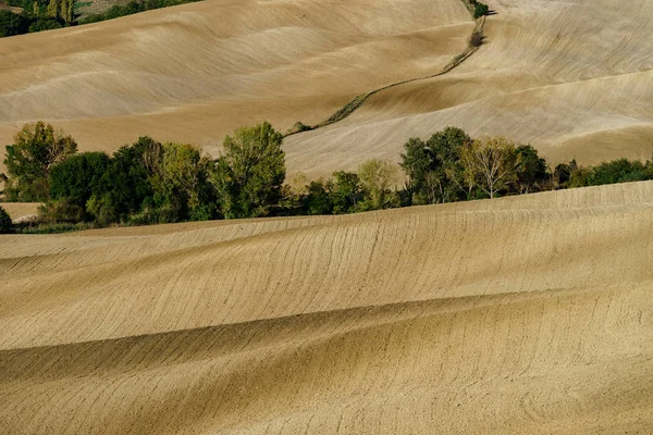 Vue Abstraite Des Collines Jaunes Brunes Toscane Automne Italie — Photo