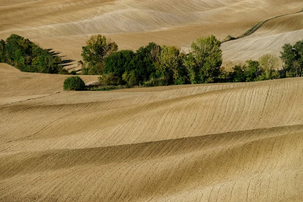 意大利秋天托斯卡纳的黄褐色丘陵的抽象视野 — 图库照片