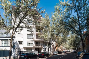 Çiçekli beyaz kiraz ağaçları ile Şehir sokak, Strazburg