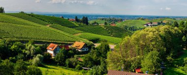 Geniş Black Forest bağ val panoramik manzara görünümü kiralar