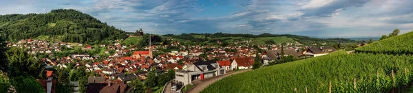 Breit mietet panoramische Landschaft Blick auf das grüne Tal in schwartzw — Stockfoto