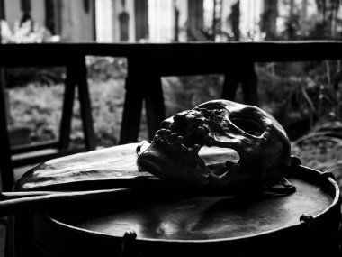 Basel Minster iç, görkemli mimari, gotik tarzı