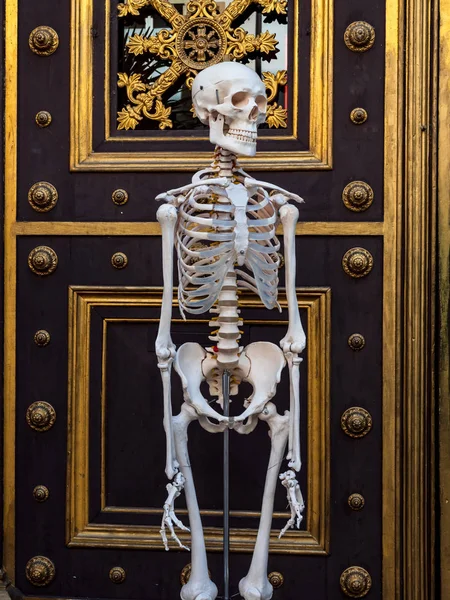 The skeleton faces an entrance to the building on the street of