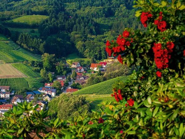 Piccolo accogliente villaggio tedesco tra le verdi colline, vigneti in — Foto Stock