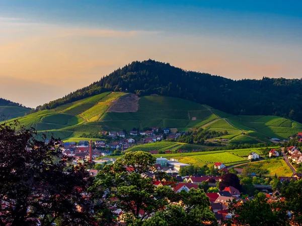 Sonnenuntergangsfarben auf dem Weinberg im Schwarzwald — Stockfoto