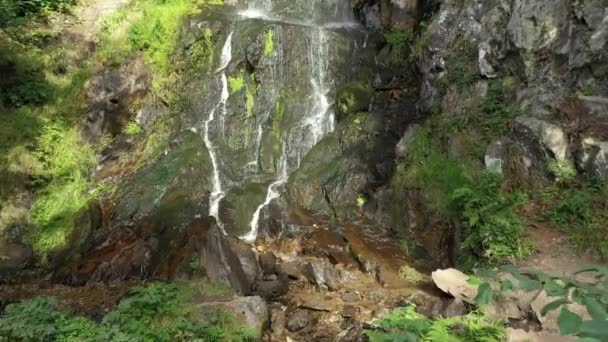 Big Waterfall Forest Village Hohwald Alsace Summer France — Stock Video