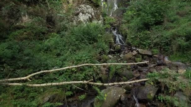Nagy Vízesés Egy Erdőben Közel Falu Hohwald Elzászban Nyáron Franciaország — Stock videók