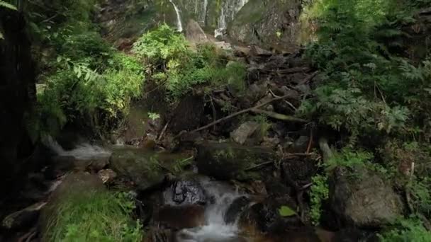 Большой Водопад Лесу Возле Деревни Ховальд Эльзасе Лето Франция — стоковое видео