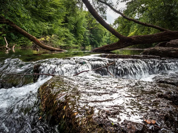 Pequeno Mas Rápido Rápido Com Uma Cachoeira Rio Montanha Floresta — Fotografia de Stock