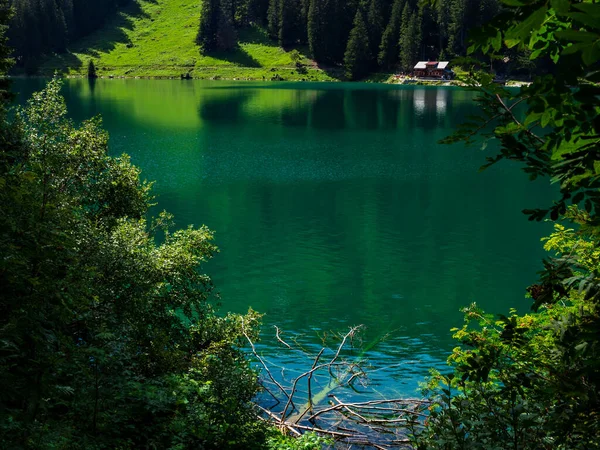 Förlorad Bergen Schweiz Lake Arnesee Med Kristallklart Vatten Turkos Och — Stockfoto