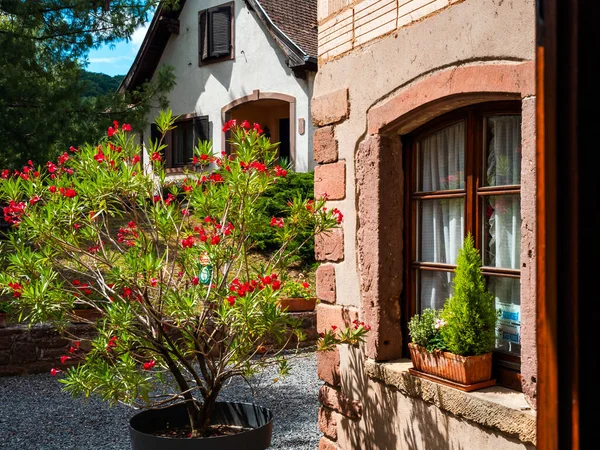 Alsace Sun Drenched Gingerbread Houses Tiled Roofs Flowers All Summer — Stock Photo, Image