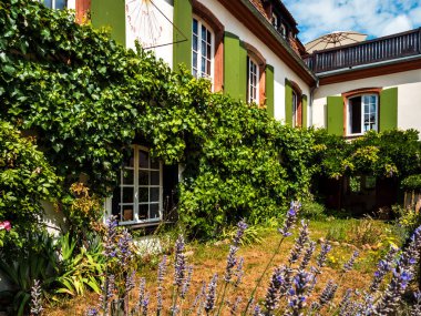 Alsace 'ın güneşe batırılmış zencefilli kurabiye evleri. Döşemeli çatılar, her yerde çiçekler, yaz güneşi parlıyor. Güzellik. Fransa