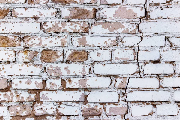 Brick wallpaper, texture. Background for creative design. concrete