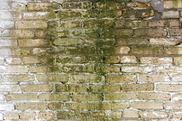 Brick wallpaper, texture. Background for creative design. The white wall is covered with mold.