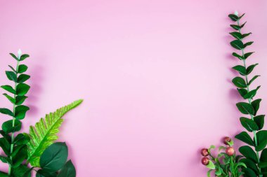 Tropikal orman dalları Monstera pembe pastel renkli arka plan üzerinde bırakır. Düz yatıyordu, en iyi görünümü kavram hoş geldiniz yaz en az. Botanik doğa düz yatıyordu. Çiçek öğeleri tasarım, yeşil yeşillik