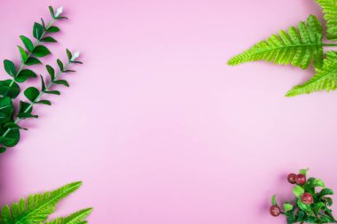 Tropikal orman dalları Monstera pembe pastel renkli arka plan üzerinde bırakır. Düz yatıyordu, en iyi görünümü kavram hoş geldiniz yaz en az. Botanik doğa düz yatıyordu. Çiçek öğeleri tasarım, yeşil yeşillik