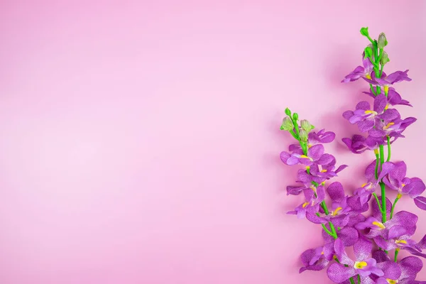 Тропічні Джунглі Гілки Листя Монстера Рожевий Пастельні Кольору Фону Плоскі — стокове фото