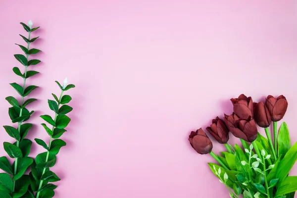 Тропічні Джунглі Гілки Листя Монстера Рожевий Пастельні Кольору Фону Плоскі — стокове фото