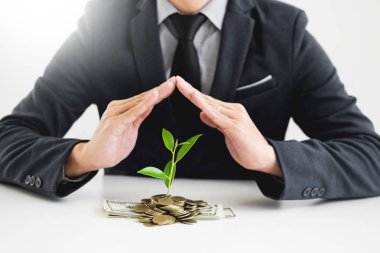 İş adamı el makyaj palm para sikke ve filiz bitki tasarruf mali kavram başarı kadar büyüyen ile.