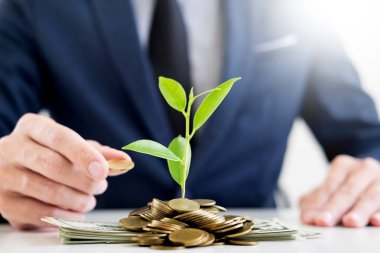 İş adamı el makyaj palm para sikke ve filiz bitki tasarruf mali kavram başarı kadar büyüyen ile.