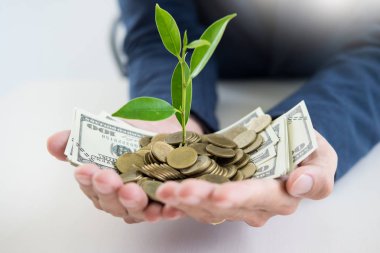 İş adamı el makyaj palm para sikke ve filiz bitki tasarruf mali kavram başarı kadar büyüyen ile.