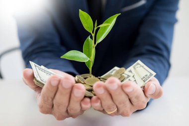 İş adamı el makyaj palm para sikke ve filiz bitki tasarruf mali kavram başarı kadar büyüyen ile.