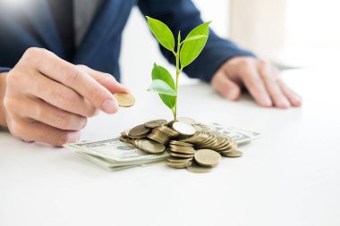 İş adamı el makyaj palm para sikke ve filiz bitki tasarruf mali kavram başarı kadar büyüyen ile.
