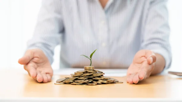 Hands of businessman putting coin into plant sprouting growing up to profit, demonstrating financial growth through saving plans and investment schemes