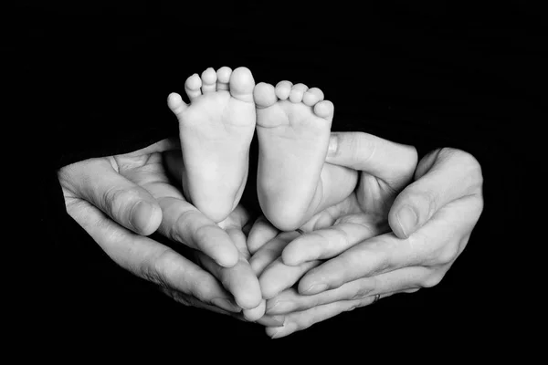 Die Füße Des Neugeborenen Den Händen Von Mama Und Papa — Stockfoto