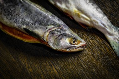 Kahverengi bir yemek masasında taze donmuş pembe somon.
