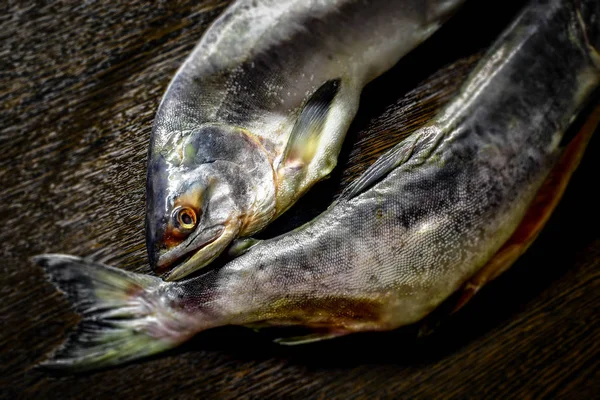 Salmon Merah Muda Beku Segar Memusnahkan Dalam Jumlah Dua Potong — Stok Foto