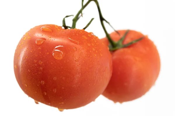 Two isolated ripe tomatoes on a branch close-up — Stock Photo, Image