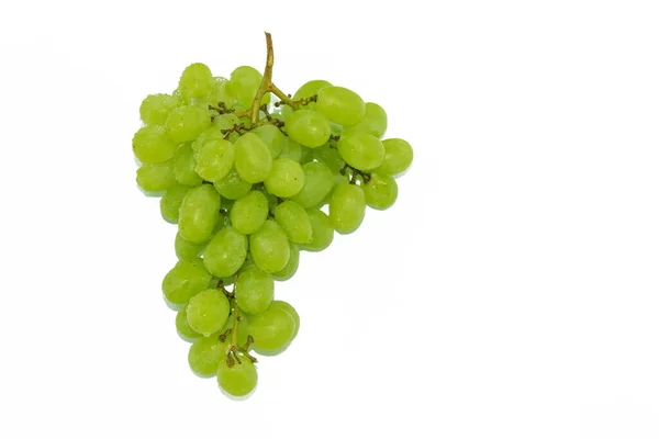 白を基調としたキシュミッシュのブドウ — ストック写真