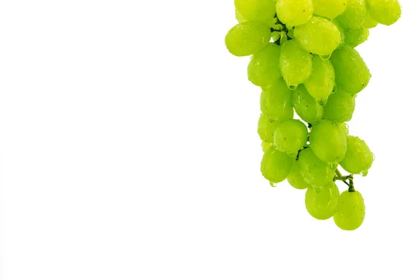 Um pouco de uvas picadas frescas e suculentas em um fundo branco — Fotografia de Stock
