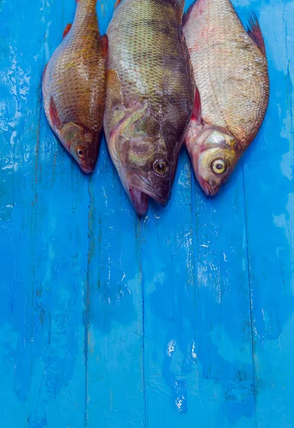 Foto Tersebut Menampilkan Ikan Segar Dari Sungai Yang Mengalir Kota — Stok Foto