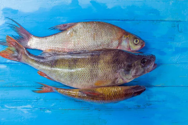 Fotografie Ukazuje Čerstvé Ryby Řeky Tekoucí Městě Ryba Počtu Tří — Stock fotografie