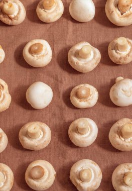 Dikey görüntü yenilebilir mantarları gösteriyor. Bunlar mantar. Küçükler, beyazlar. Gelecekte çorba pişirmek için marketten alınmış mantarlar.